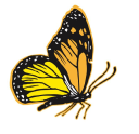 MONARCH FLOORING SERVICES LIMITED Logo
