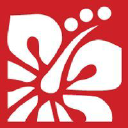 NEW WORLD CHOP SUEY BAR LIMITED Logo