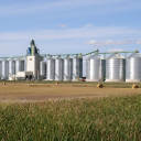 Dakota Midland Grain LLC Logo