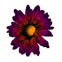 floralwerkstatt tina steger Logo