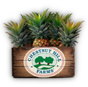 Chestnut Hill Farms LLC Logo