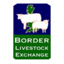 BORDER LIVESTOCK EXCHANGE LIMITED Logo