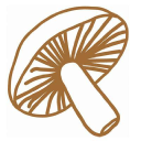 MUSHROOM MARKETING LIMITED Logo