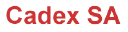 CADEX SYSTEMS S A (PTY) LTD Logo