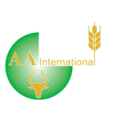 A A INTERNATIONAL LTD Logo