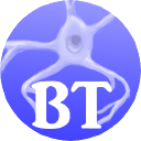 Brain Talk Logo