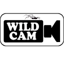 WILDCAM (PTY) LTD Logo