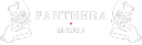 PANTHERA PROPERTY GROUP PTY LTD Logo