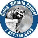 A A A Wildlife Control Logo