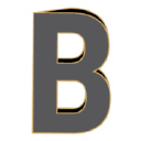 Brunco Insulation Ltd Logo