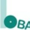 Baur Folien Service GmbH Logo