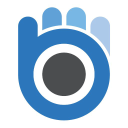 Bluewrist Inc Logo