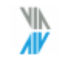 ViaConsilium GmbH Logo