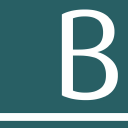 Border Connect Inc Logo