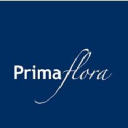 Prima Flora Blumenshops GmbH Logo