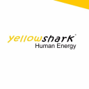 yellowshark AG Logo