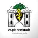 Martin Reißmann Spitzenstadt.de Logo