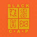 Black Coalition For Aids Prevention Logo