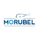 Morubel N.V.  |  a Cooke Inc. company Logo