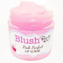 Blush Beauty Bar Inc Logo