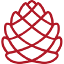Sälen Timber AB Logo