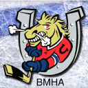 Barrie Minor Hockey Association Logo