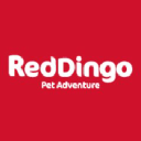 Red Dingo GmbH Logo