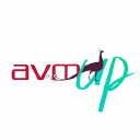 AVM Logo