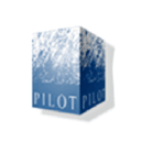 Pilot P  B  Inc Logo