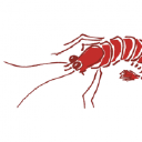 Restaurant Krabbe Logo