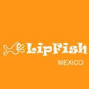 LipFish AB Logo